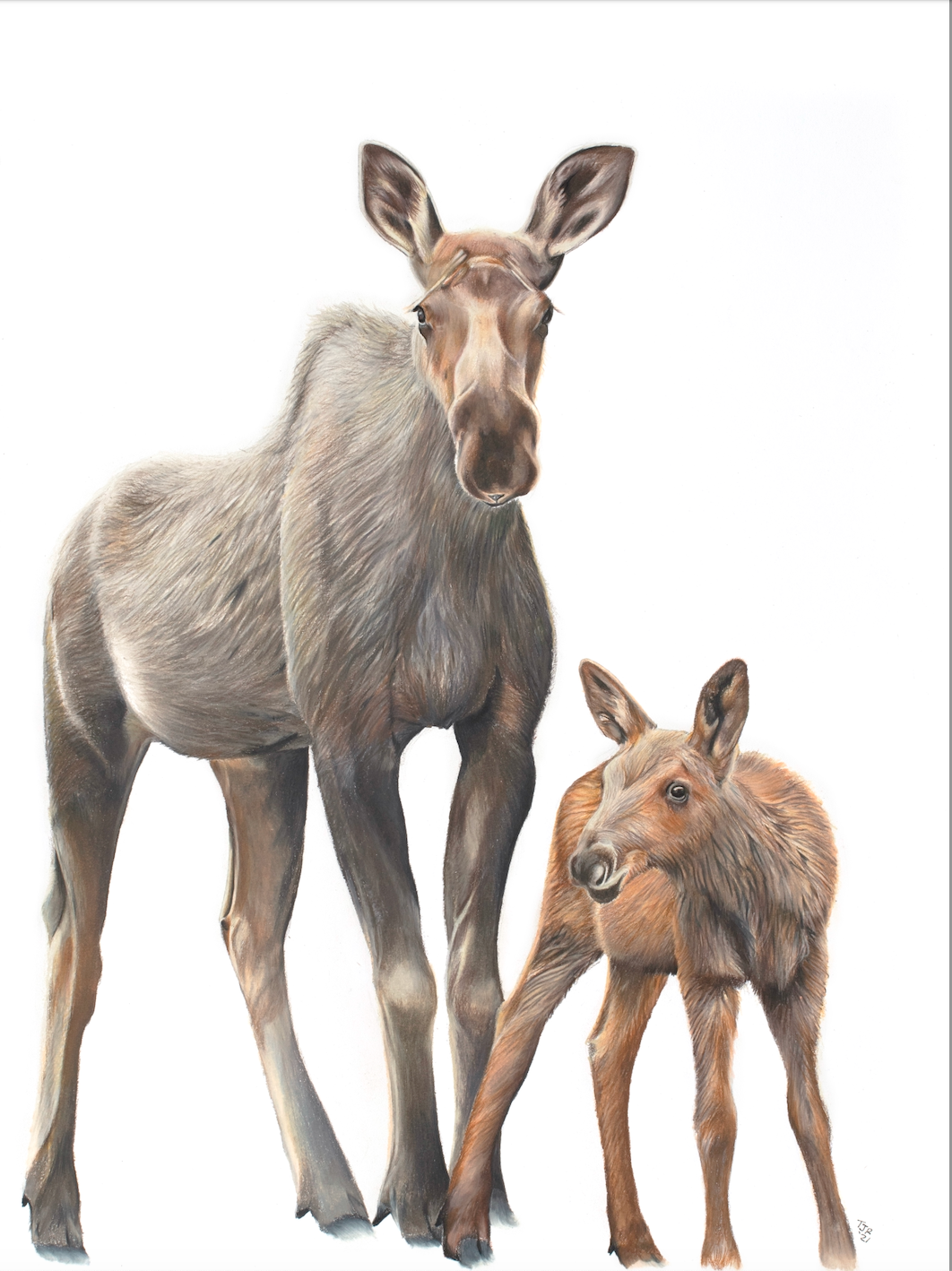 "The Guardian" Colored Pencil Print (cs 3)