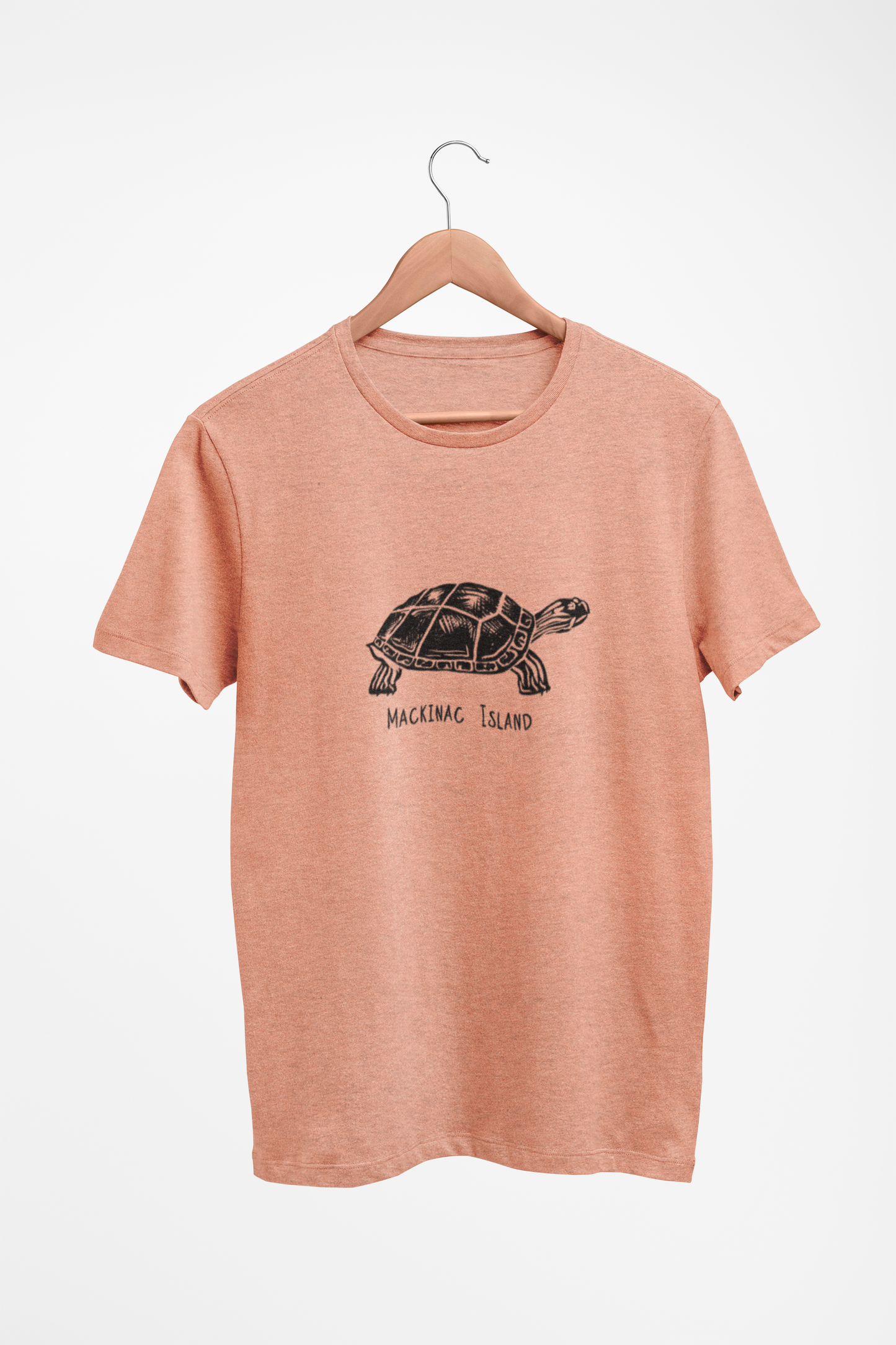 Mackinac Island Vintage Turtle Youth Tee