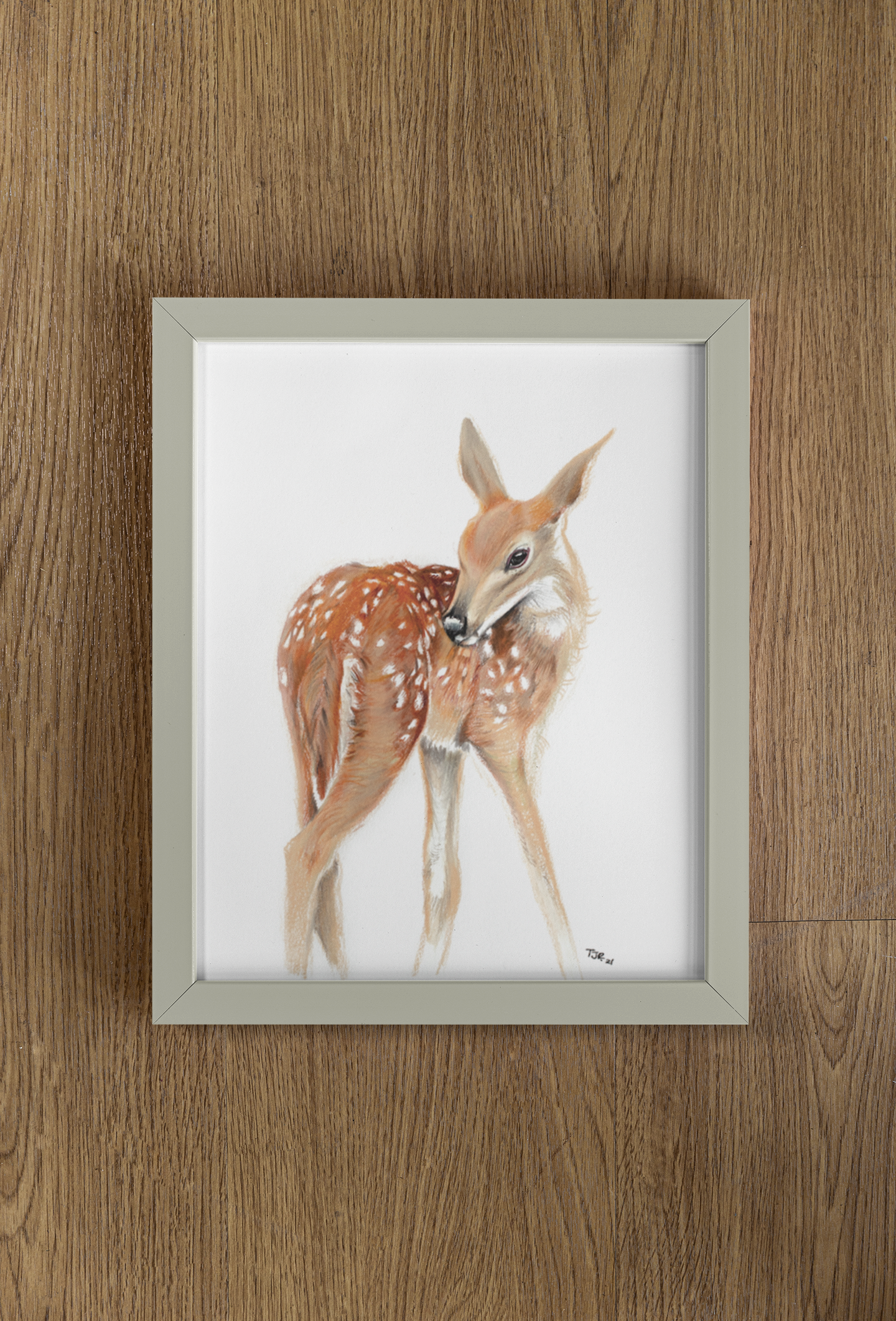 "Solo Fawn" Colored Pencil Print (cs 3)