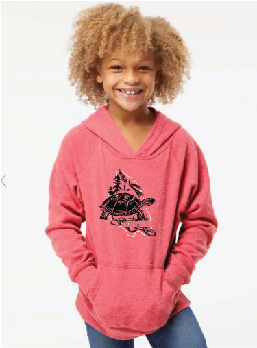 Mackinac Island Vintage Turtle Youth Hoodie