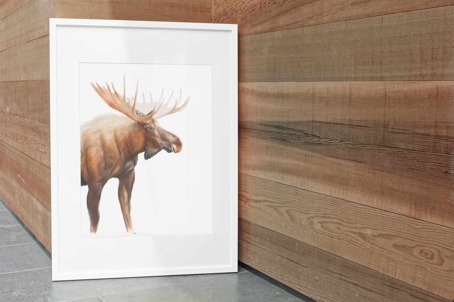 "Bull Moose" Colored Pencil Print (cs 3)