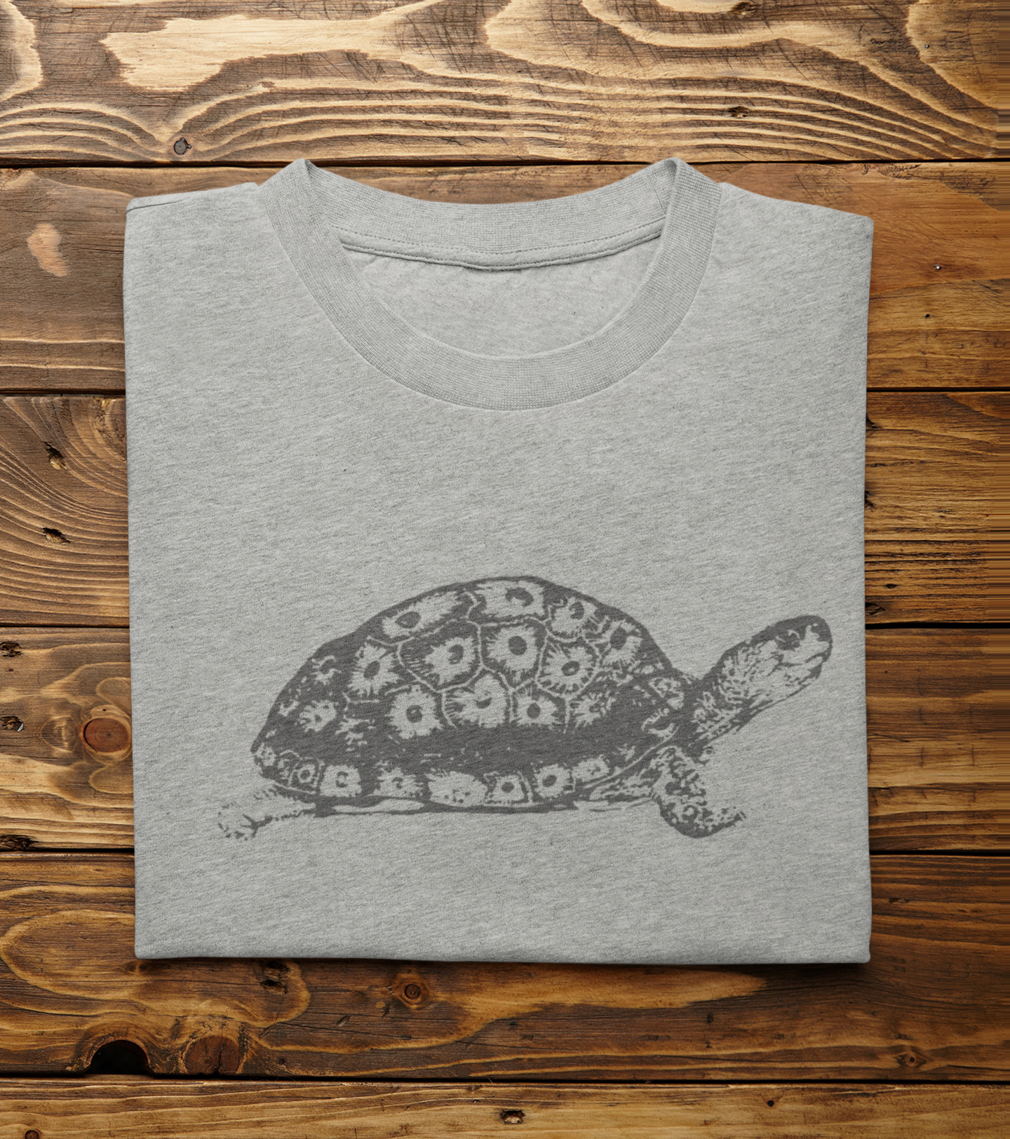 Vintage Petoskey Turtle Unisex Tee