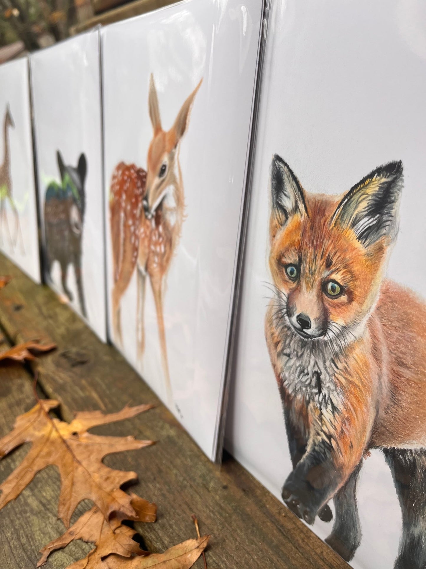 Red Fox Kit Colored Pencil Print