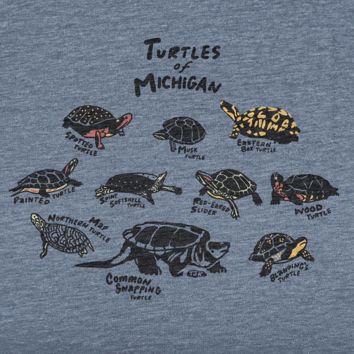 Turtles of Michigan Unisex Tee