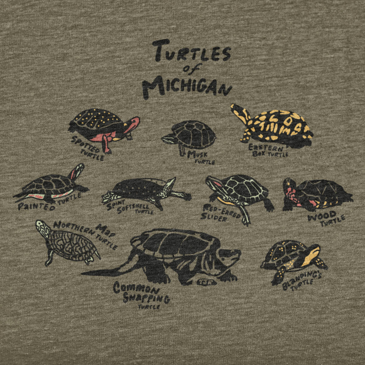 Turtles of Michigan Unisex Tee