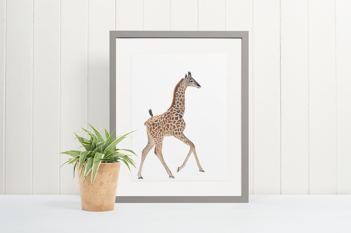 Giraffe Colored Pencil Print.