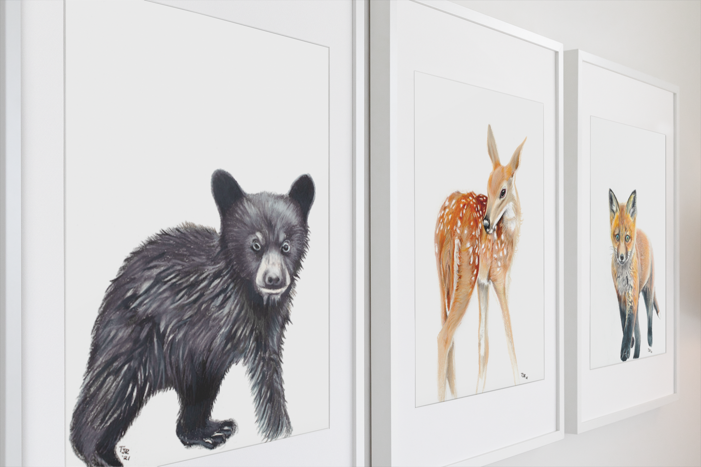 Black Bear Cub Colored Pencil Print.