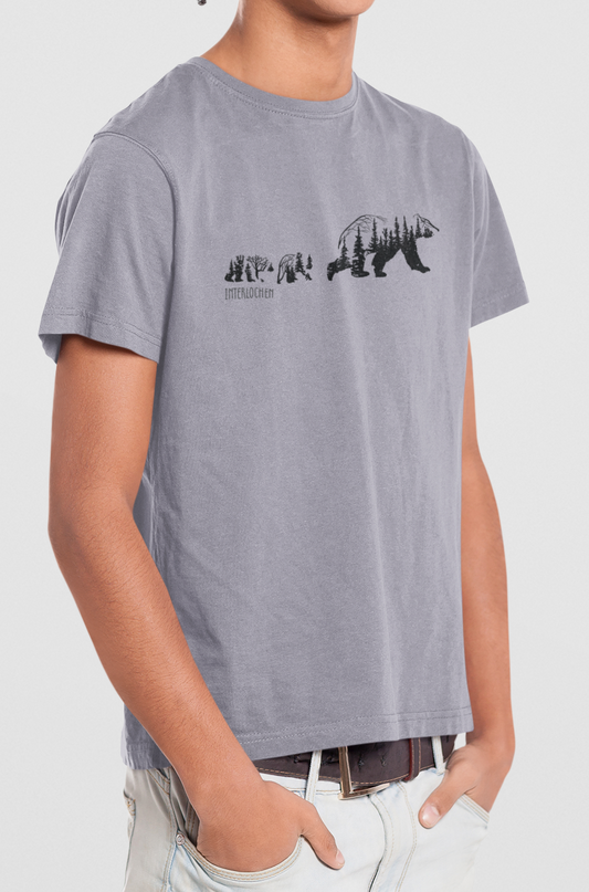 Woodland Bears: Interlochen