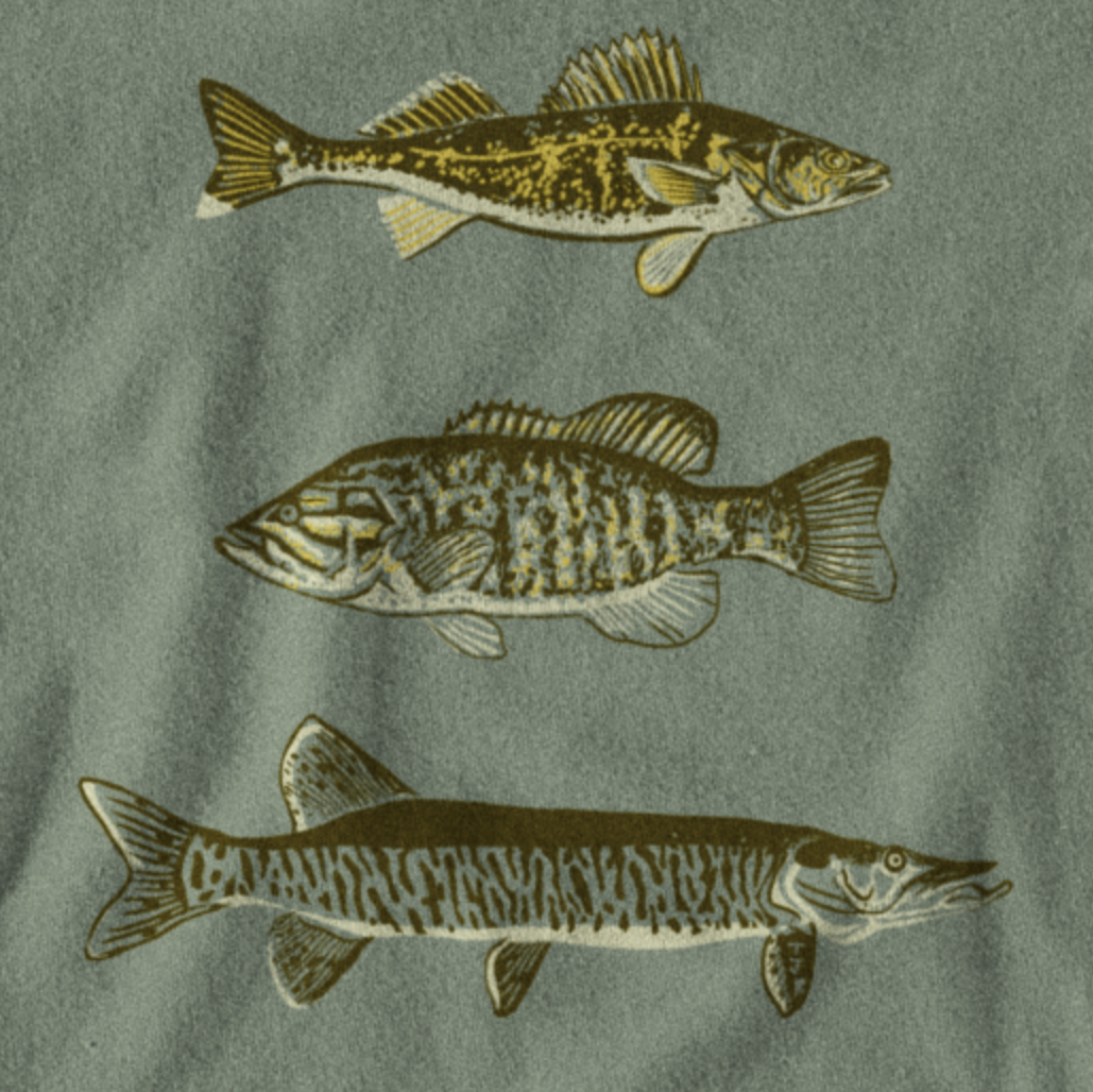Fish Trio Unisex Tee (GCPS logo on sleeve)